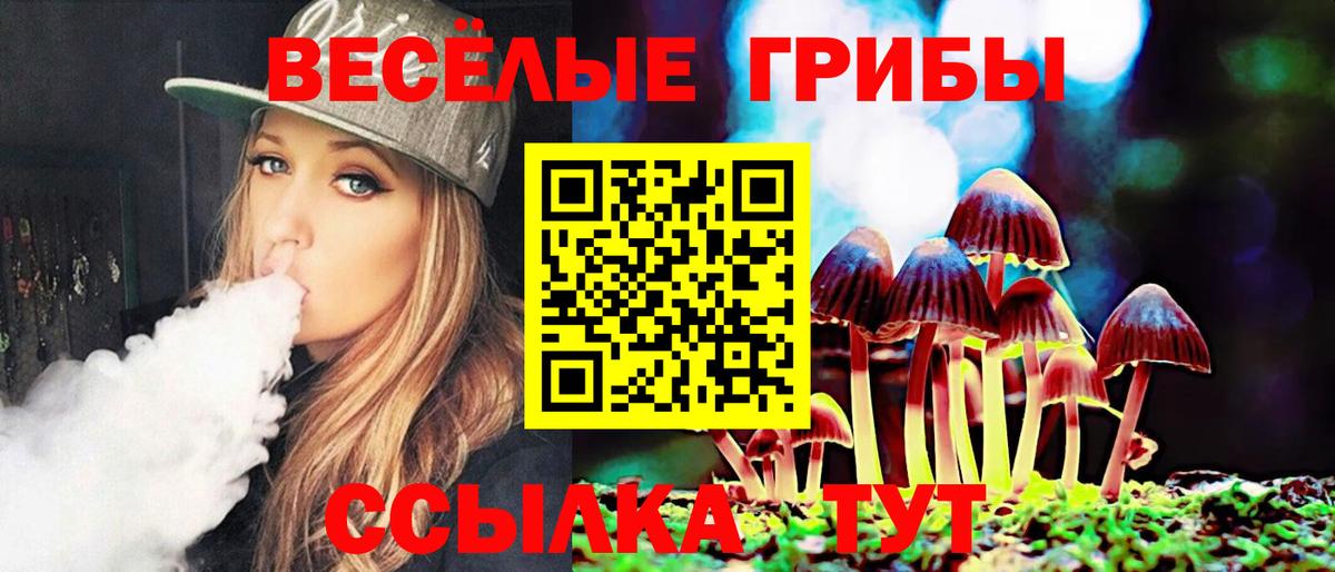 Галлюциногенные грибы MAGIC MUSHROOMS Минеральные Воды