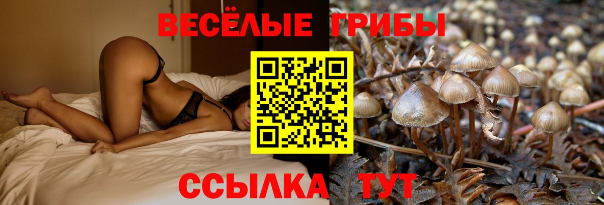 Минеральные Воды  Галлюциногенные грибы GOLDEN TEACHER  купить   Псилоцибиновые грибы Psilocybine cubensis  Вход с VPN 